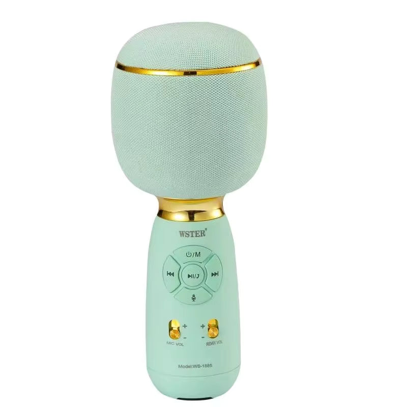 MICRÓFONO WIRELESS SPEAKER MODERNO/PORTÁTIL | TWS | CONVERTIDOR DE VOZ | ALTAVOZ