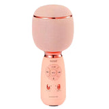 MICRÓFONO WIRELESS SPEAKER MODERNO/PORTÁTIL | TWS | CONVERTIDOR DE VOZ | ALTAVOZ
